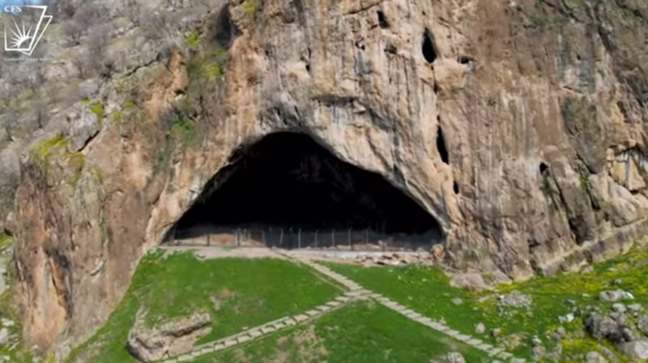 Qizning mushukini barmoq bilan uring